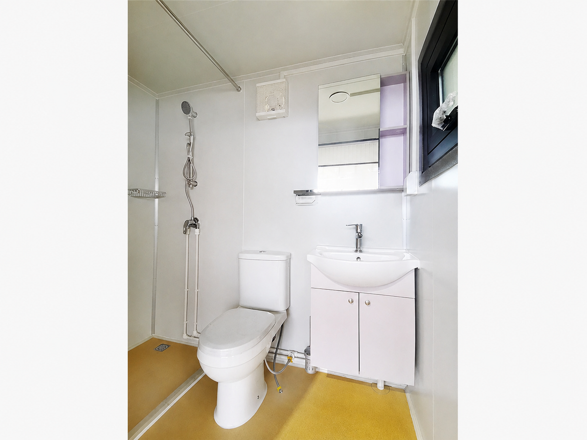 Toilet, Vanity and Open Shower